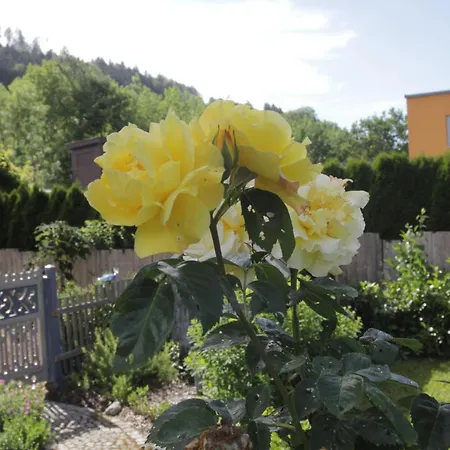 Haus Kirchenblick Homestay Engelhartszell