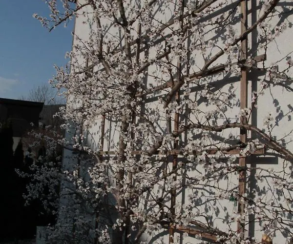 Haus Kirchenblick ホームステイ