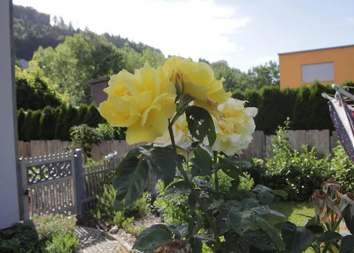 Haus Kirchenblick Проживание в семье Энгельхартсцелль