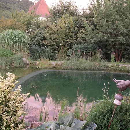 Haus Kirchenblick Проживание в семье