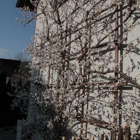 Haus Kirchenblick Проживание в семье