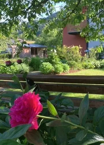 Haus Kirchenblick Δωμάτια σε οικογενειακή κατοικία Engelhartszell